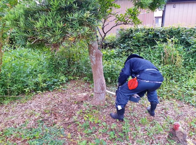 庭園イメージ